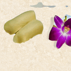 Best Escolar in Walpole, MA